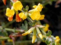 Image 15
© 1999 - 2005 Kenneth L. Bowles.
All rights reserved
Click to enlarge.