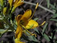 Image 115
© 1999 - 2005 Kenneth L. Bowles.
All rights reserved
Click to enlarge.