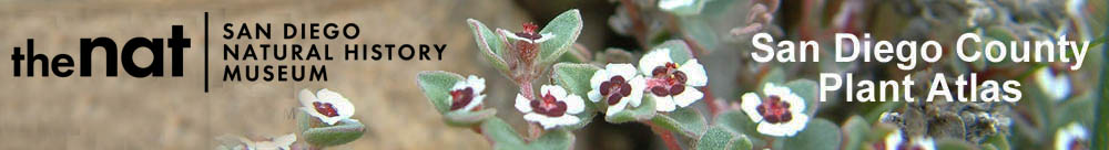 San Diego Plant Atlas